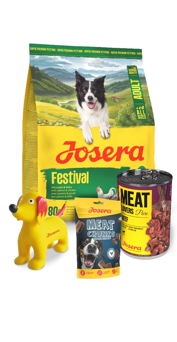 Zestaw Josera Festival dla dorosłych, wybrednych psów